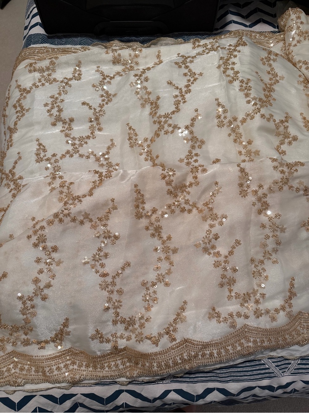 Heavily embroidered saree with sequins- no blouse